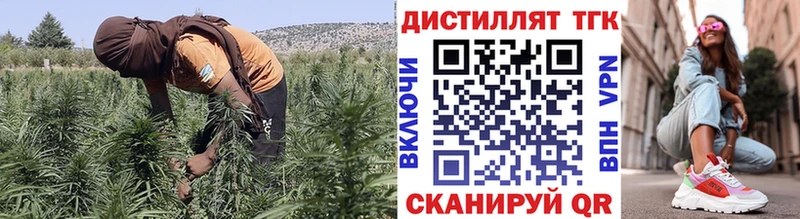 что такое   mega сайт  Дистиллят ТГК THC oil  Геленджик 